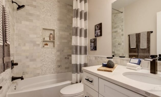 Bathroom Remodel Ideas